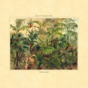 Heart Of Snake & Mira Chamaerops Vinyl LP 2025