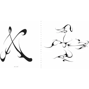 Heith X, Wheel / The Liars Tell Vinyl LP 2025