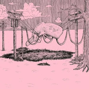 Home Is Where The Whaler Vinyl LP 2023