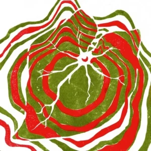 Hotline TNT Raspberry Moon Vinyl LP Indies Sapphire Slush Puppy Blue Colour 2025