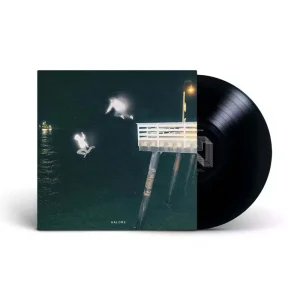 House Of Protection Galore Vinyl EP 2025