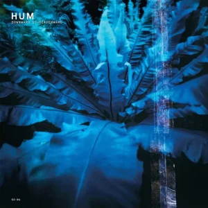 Hum Downwards Is Heavenward Vinyl LP 2023