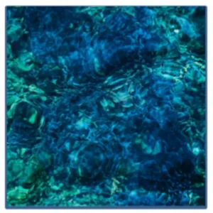 Ichiko Aoba Luminescent Creatures Vinyl LP Black Eco Mix Colour 2025