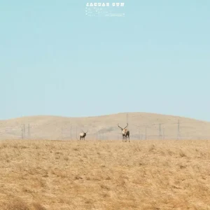 Jaguar Sun For You Vinyl LP Electric Blue w/Black Swirl 2024