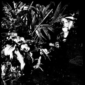 Jef Mertens Orchid Alto Vinyl LP 2025