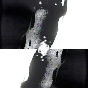 Jesse Justice Temporary Vinyl LP 2025