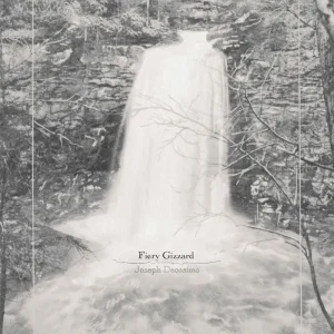 Joseph Decosimo Fiery Gizzard Vinyl LP 2025