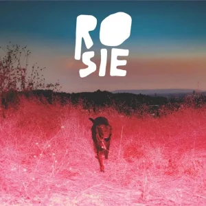 Kaycie Satterfield Rosie Vinyl LP Eco-Friendly ‘Rosie’ Red Colour 2024