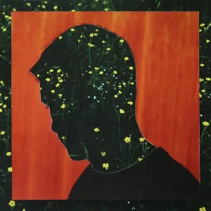 Kidnap Something Lost, Something Gained Vinyl LP 2025