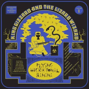 King Gizzard & The Lizard Wizard Flying Microtonal Banana Biovinyl Reissue Vinyl LP