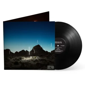 Live from Joshua Tree Black Vinyl