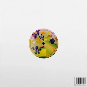 Logic1000 In The Sweetness Of You Vinyl LP 2021