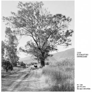 Los Gigantes Dormidos Los Jardines De Mis Abuelos Vinyl LP 2025