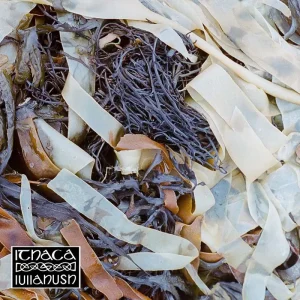 Lullahush Ithaca Vinyl LP 2025