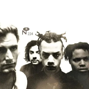 Majesty Crush Butterflies Don’t Go Away Vinyl LP 2024