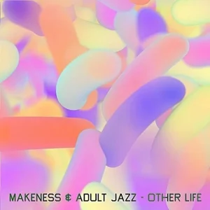 Makeness & Adult Jazz Other Life 12″ Vinyl Single 2016