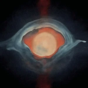 Mamuthones From Word To Flesh Vinyl LP 2025