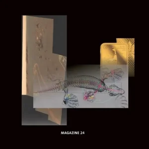 Maria Wildeis Deep Meaning Vinyl LP 2025