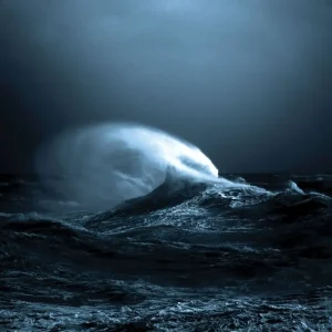 Mark Molnar EXO Vinyl LP 2025