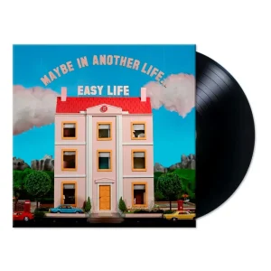 MAYBE IN ANOTHER LIFE… (LP)