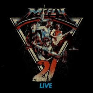 McFly 21 Live Vinyl LP 2025