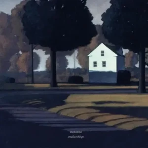 Memotone Smallest Things Vinyl LP 2025