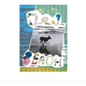 Merryn Jeann Dog Beach Vinyl LP 2024