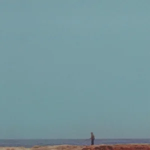 Mid-Air Thief Crumbling Vinyl LP 2024