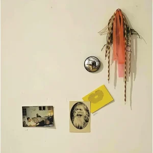 Mike Donovan Meets the Mighty Flashlight Vinyl LP 2023