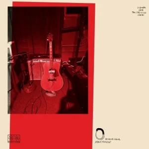 Mike Polizze Around Sound Vinyl LP 2025