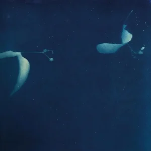 Miki Yui As If Vinyl LP 2025