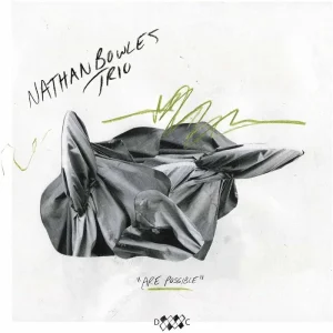Nathan Bowles Trio Are Possible Vinyl LP 2024