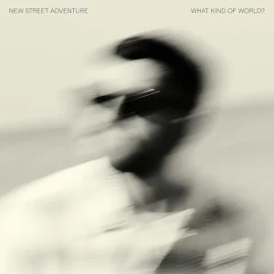 New Street Adventure What Kind Of World? Vinyl LP Due Out 29/08/25