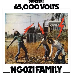 Ngozi Family 45,000 Volts Vinyl LP 2025