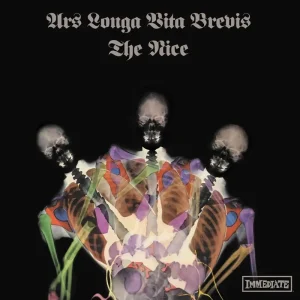 Nice Ars Longa Vita Brevis Vinyl LP X-Ray Marbled Colour