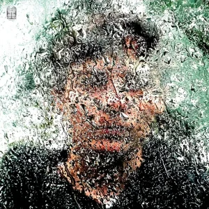 Nina Garcia Bye Bye Bird Vinyl LP 2025