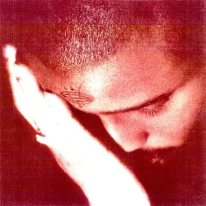 Nourished By Time The Passionate Ones Vinyl LP 2025