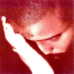 Nourished By Time The Passionate Ones Vinyl LP Clear Colour 2025