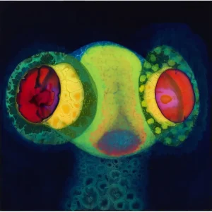 OSEES SORCS 80 Vinyl LP 2024