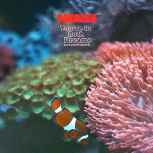 Paerish You’re in Both Deams (and You’re Scared) Vinyl LP 2023