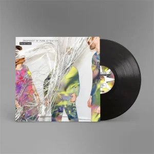 Painting Snapshot Of Pure Attention Vinyl LP 2025