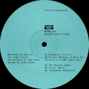 Pattern Gardening 12″ Vinyl Single 2025