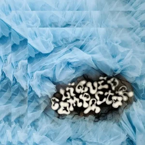 Penny & The Pits Liquid Compactor Vinyl LP Clear Colour 2025