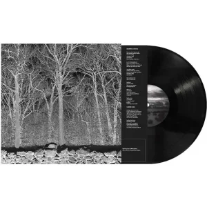 Pile Sunshine And Balance Beams Vinyl LP 2025