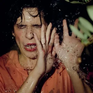 Postcards Ripe Vinyl LP 2025