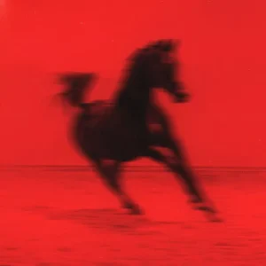 Red Rum Club BUCK Vinyl LP Due Out 05/09/25