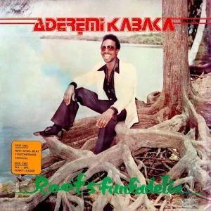 Remi Kabaka Roots Funkadelia Vinyl LP 2024