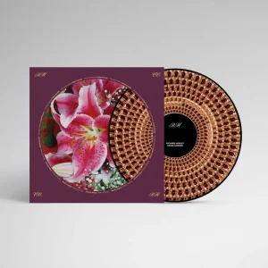 Richard Hawley Coles Corner Vinyl LP Zoetrope 2025