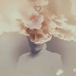 Rosa Faenskap Jeg Blir Til Deg Vinyl LP 2024