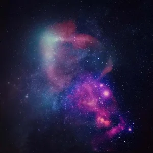 Roseaux Roseaux III Vinyl LP 2025